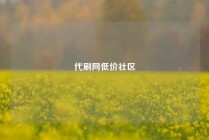 代刷网低价社区