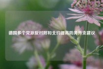 德国多个党派反对附和北约提高防务开支建议
