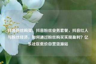 抖音粉丝购买，抖音粉丝业务套餐，抖音红人与粉丝经济，如何通过粉丝购买实现盈利？亿乐社区低价自营货源站