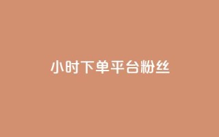 dy24小时下单平台粉丝,24小时在线下单平台网站 - ks业务自助下单软件最低价 - 网红助手的app特色