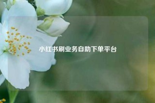 小红书刷业务自助下单平台