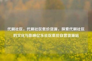 代刷社区，代刷社区低价货源，探索代刷社区的文化与影响亿乐社区低价自营货源站
