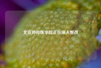 北京协和医学院正在深入整改
