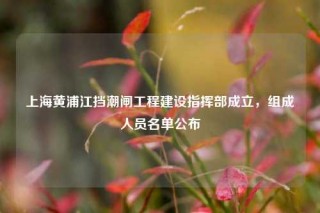 上海黄浦江挡潮闸工程建设指挥部成立，组成人员名单公布