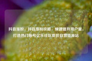 抖音涨粉，抖音涨粉攻略，快速提升用户量，打造热门账号亿乐社区低价自营货源站