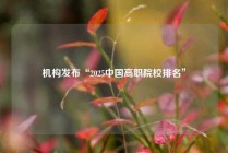 机构发布“2025中国高职院校排名”