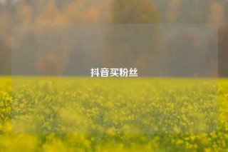 抖音买粉丝