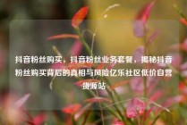 抖音粉丝购买，抖音粉丝业务套餐，揭秘抖音粉丝购买背后的真相与风险亿乐社区低价自营货源站