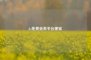 ks免费业务平台便宜