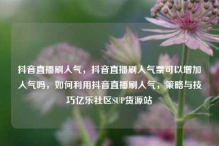 抖音直播刷人气，抖音直播刷人气票可以增加人气吗，如何利用抖音直播刷人气，策略与技巧亿乐社区SUP货源站