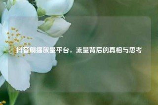 抖音刷播放量平台，流量背后的真相与思考