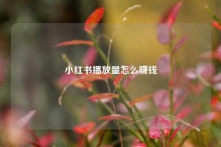 小红书播放量怎么赚钱