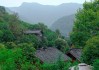 透视社会组织创新实践中的花开岭现象：与乡村发展的融合共进