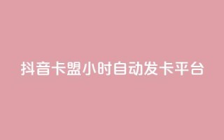 抖音卡盟24小时自动发卡平台,颜夕卡盟 - 全网辅助货源站 - 快手点赞评论软件微信支付