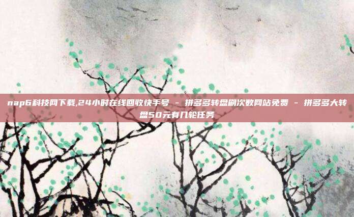 nap6科技网下载,24小时在线回收快手号 - 拼多多转盘刷次数网站免费 拼多多大转盘50元有几轮任务  第1张