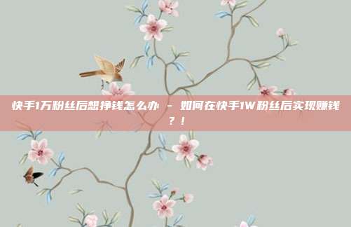 快手1万粉丝后想挣钱怎么办 - 如何在快手1W粉丝后实现赚钱？!  第1张