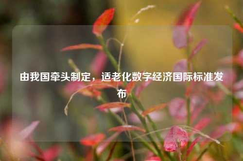 由我国牵头制定，适老化数字经济国际标准发布  第1张
