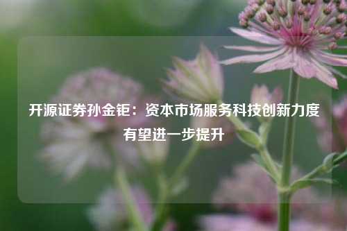 开源证券孙金钜：资本市场服务科技创新力度有望进一步提升  第1张