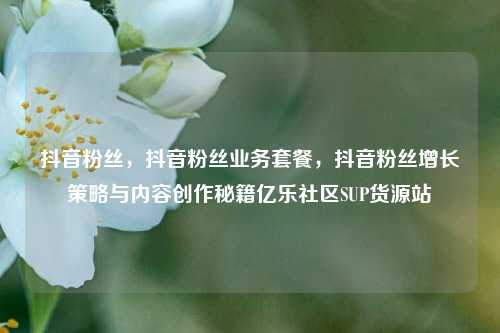 抖音粉丝，抖音粉丝业务套餐，抖音粉丝增长策略与内容创作秘籍亿乐社区SUP货源站  第1张