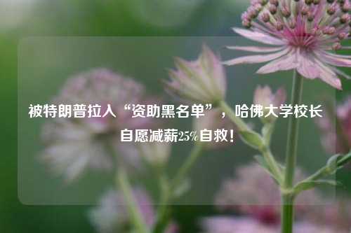 被特朗普拉入“资助黑名单”，哈佛大学校长自愿减薪25%自救！  第1张
