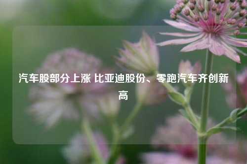 汽车股部分上涨 比亚迪股份	、零跑汽车齐创新高  第1张