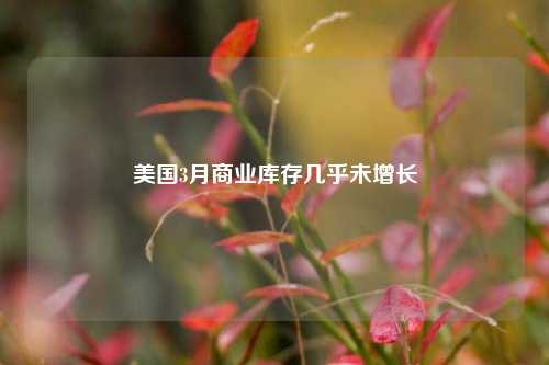 美国3月商业库存几乎未增长  第1张