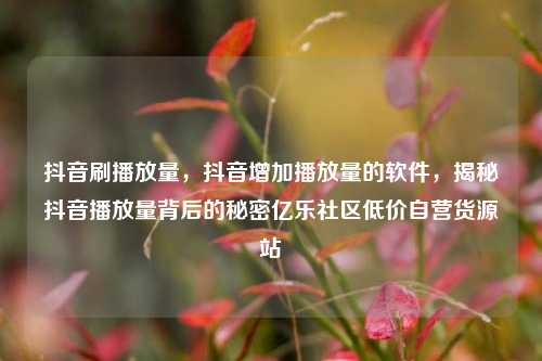 抖音刷播放量	，抖音增加播放量的软件，揭秘抖音播放量背后的秘密亿乐社区低价自营货源站  第1张
