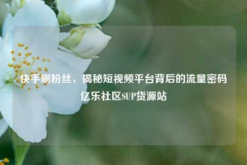 快手刷粉丝	，揭秘短视频平台背后的流量密码亿乐社区SUP货源站  第1张