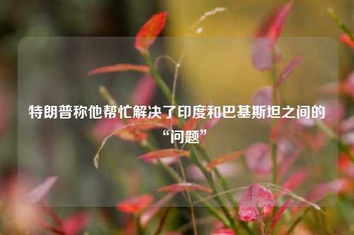特朗普称他帮忙解决了印度和巴基斯坦之间的“问题	”  第1张