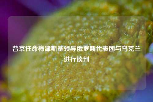 普京任命梅津斯基领导俄罗斯代表团与乌克兰进行谈判  第1张