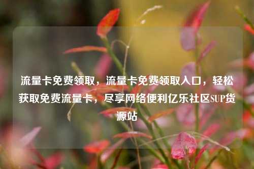 流量卡免费领取	，流量卡免费领取入口，轻松获取免费流量卡，尽享网络便利亿乐社区SUP货源站  第1张
