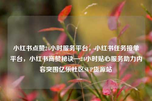 小红书点赞24小时服务平台	，小红书任务接单平台，小红书高赞秘诀—24小时贴心服务助力内容突围亿乐社区SUP货源站  第1张