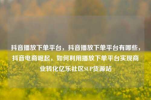 抖音播放下单平台	，抖音播放下单平台有哪些，抖音电商崛起，如何利用播放下单平台实现商业转化亿乐社区SUP货源站  第1张