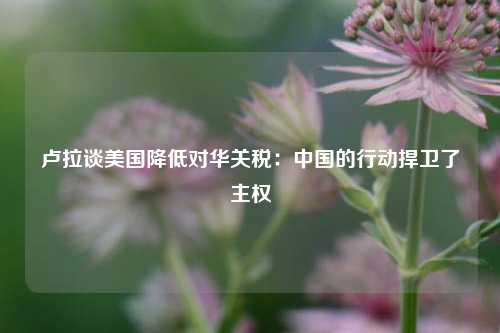 卢拉谈美国降低对华关税：中国的行动捍卫了主权  第1张