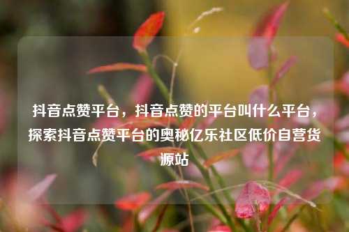 抖音点赞平台，抖音点赞的平台叫什么平台，探索抖音点赞平台的奥秘亿乐社区低价自营货源站  第1张