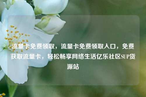 流量卡免费领取	，流量卡免费领取入口，免费获取流量卡，轻松畅享网络生活亿乐社区SUP货源站  第1张