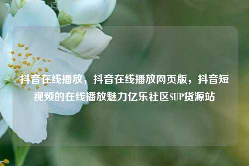 抖音在线播放	，抖音在线播放网页版，抖音短视频的在线播放魅力亿乐社区SUP货源站  第1张