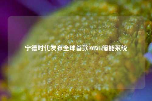 宁德时代发布全球首款9MWh储能系统  第1张
