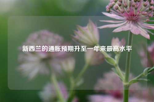 新西兰的通胀预期升至一年来最高水平  第1张