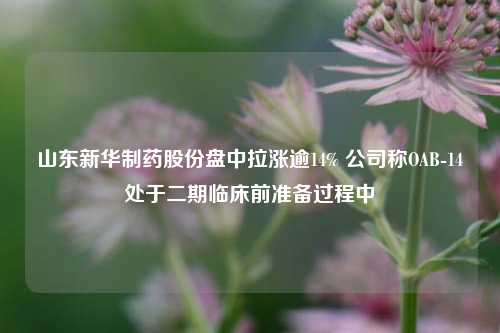 山东新华制药股份盘中拉涨逾14% 公司称OAB-14处于二期临床前准备过程中  第1张