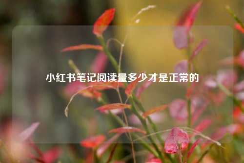 小红书笔记阅读量多少才是正常的  第1张