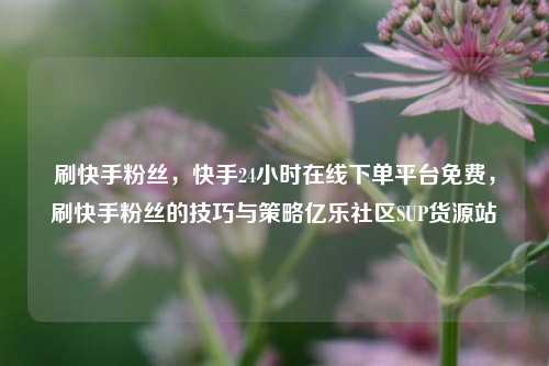 刷快手粉丝，快手24小时在线下单平台免费，刷快手粉丝的技巧与策略亿乐社区SUP货源站  第1张