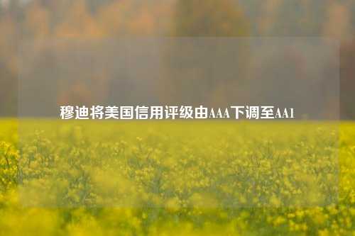 穆迪将美国信用评级由AAA下调至AA1  第1张