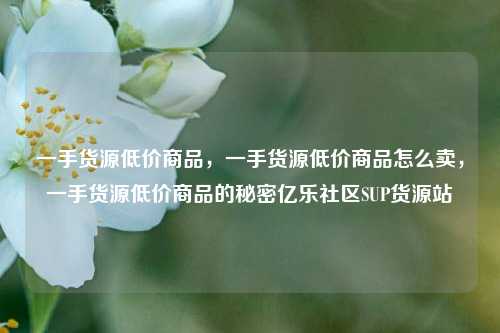 一手货源低价商品，一手货源低价商品怎么卖，一手货源低价商品的秘密亿乐社区SUP货源站  第1张