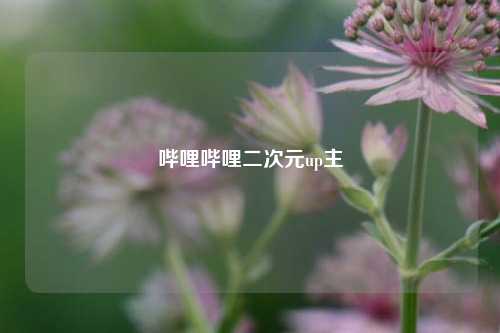 哔哩哔哩二次元up主  第1张