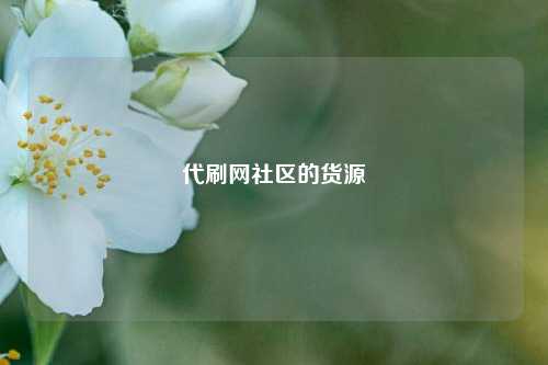 代刷网社区的货源  第1张