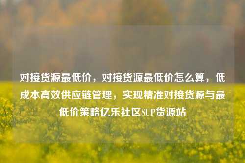 对接货源最低价	，对接货源最低价怎么算，低成本高效供应链管理，实现精准对接货源与最低价策略亿乐社区SUP货源站  第1张