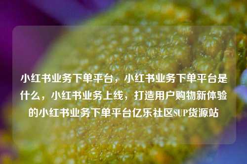 小红书业务下单平台，小红书业务下单平台是什么，小红书业务上线	，打造用户购物新体验的小红书业务下单平台亿乐社区SUP货源站  第1张