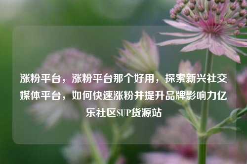 涨粉平台，涨粉平台那个好用	，探索新兴社交媒体平台，如何快速涨粉并提升品牌影响力亿乐社区SUP货源站  第1张