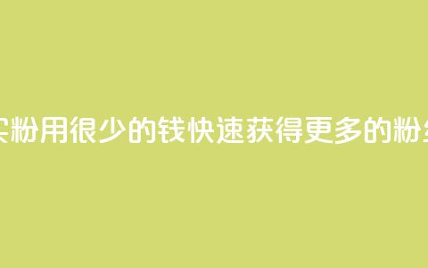 一块钱买1000粉 - 用很少的钱快速获得更多的粉丝！!  第1张